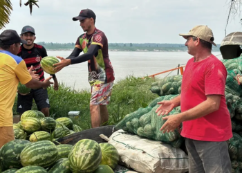 Novo programa da ApexBrasil impulsiona 450 cooperativas de todo o país no comércio exterior 2 Novo programa da ApexBrasil impulsiona 450 cooperativas de todo o país no comércio exterior