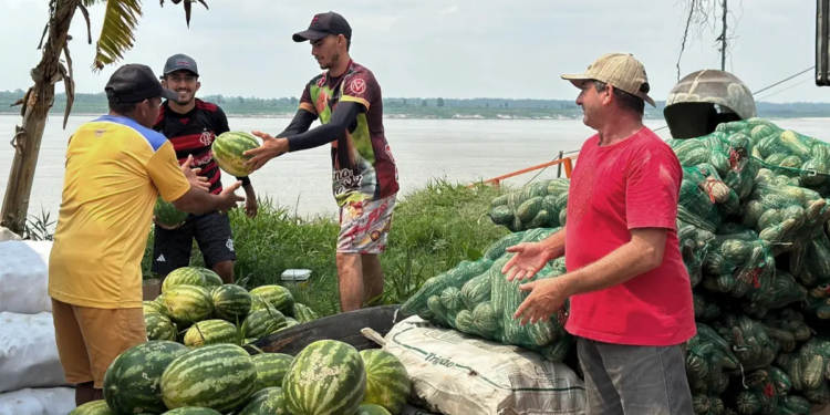 Novo programa da ApexBrasil impulsiona 450 cooperativas de todo o país no comércio exterior 1 Novo programa da ApexBrasil impulsiona 450 cooperativas de todo o país no comércio exterior
