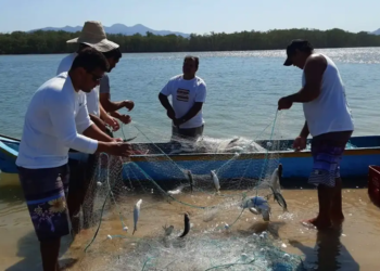 Cooperativismo impulsiona desenvolvimento do Rio Grande do Norte