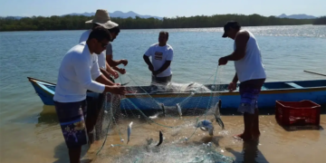 Cooperativismo impulsiona desenvolvimento do Rio Grande do Norte