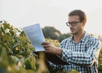 Crescimento da inadimplência no campo leva governo a discutir mudanças no crédito rural