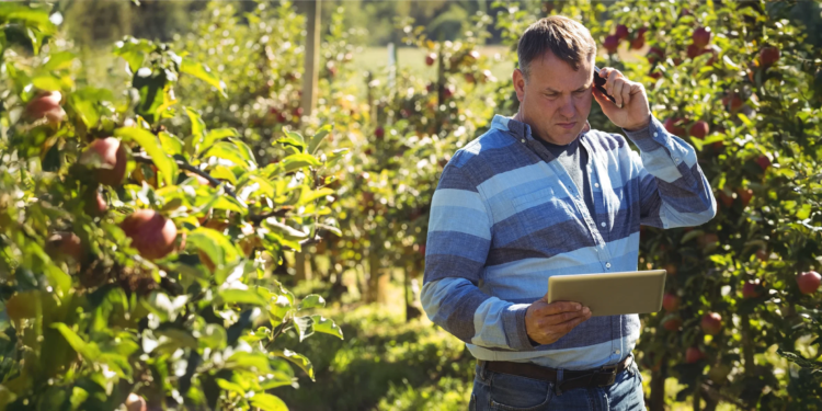 Quando dados, autenticidade e narrativas se tornam o novo território estratégico do agro 1 Quando dados, autenticidade e narrativas se tornam o novo território estratégico do agro