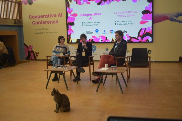 DSC 0744 768x512 copiar