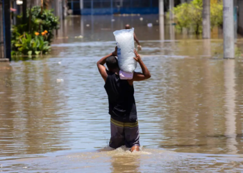 Cooperativa financeira destaca a importância do segmento no enfrentamento aos desafios climáticos 2 Cooperativa financeira destaca a importância do segmento no enfrentamento aos desafios climáticos