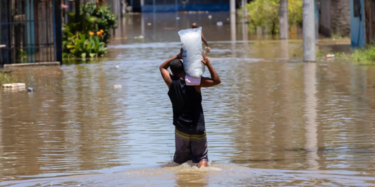 Cooperativa financeira destaca a importância do segmento no enfrentamento aos desafios climáticos 1 Cooperativa financeira destaca a importância do segmento no enfrentamento aos desafios climáticos