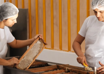 Comissão de Finanças da Câmara aprova recursos federais para cooperativas goianas