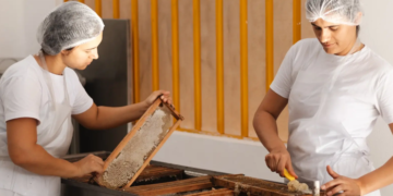 Comissão de Finanças da Câmara aprova recursos federais para cooperativas goianas