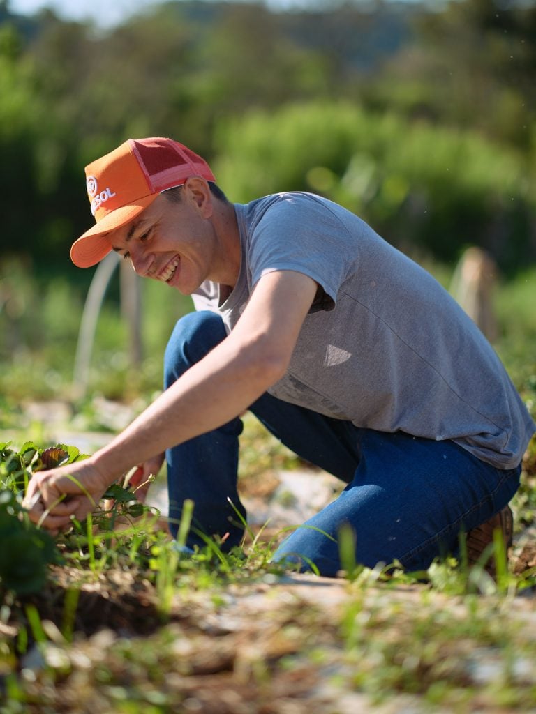 Empreendedorismo Rural Cresol Boa Vista da Aparecida 2 768x1024 1