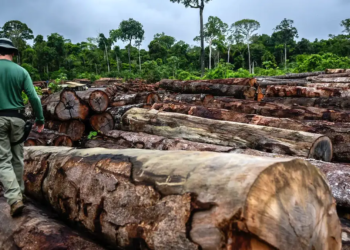 Lei estabelece novas regras para racionalizar e desburocratizar o licenciamento ambiental 2 Lei estabelece novas regras para racionalizar e desburocratizar o licenciamento ambiental