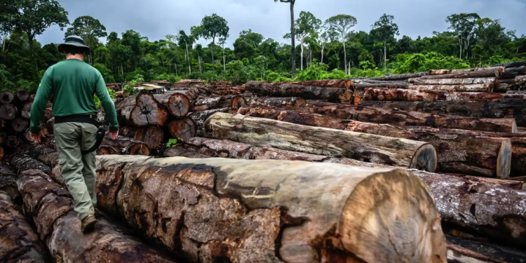 Lei estabelece novas regras para racionalizar e desburocratizar o licenciamento ambiental 1 Lei estabelece novas regras para racionalizar e desburocratizar o licenciamento ambiental