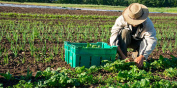 Mudanças climáticas: o desafio da resiliência no cooperativismo agro