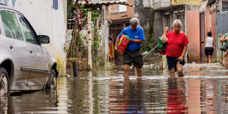 Relatório da ONU reconhece cooperativismo brasileiro como solução local para mudanças climáticas