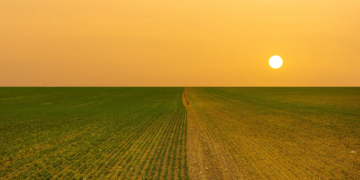 Mudanças climáticas: o desafio da resiliência no cooperativismo agro