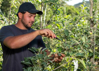 Cooperativa financeira apoia associados com bolsas para formação de técnicos agrícolas