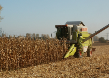 CMN adia aplicação de regra ambiental no crédito rural