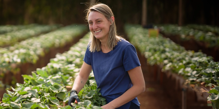 Cooperativa financeira fortalece agricultores através do Projeto Empreendedorismo Rural