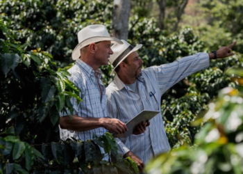 Cooperativa cafeeira vence prêmio por destaque emNegócios Internacionais