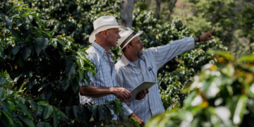 Cooperativa cafeeira vence prêmio por destaque emNegócios Internacionais