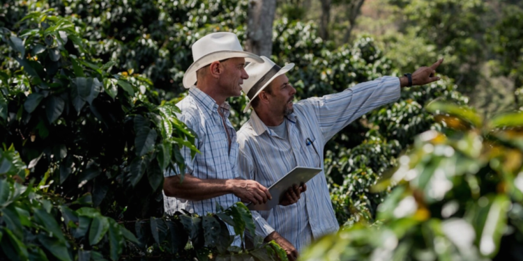 Cooperativa cafeeira vence prêmio por destaque emNegócios Internacionais