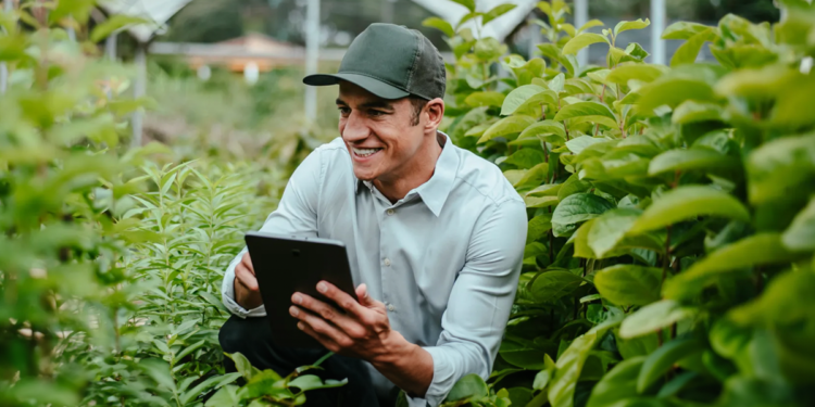 Master em Food & Agribusiness Management vai fortalecer futuras lideranças do agro 1 Master em Food & Agribusiness Management vai fortalecer futuras lideranças do agro