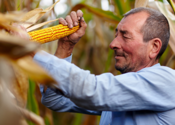 Biocombustível social impulsiona agricultura familiar na Bahia 2 Biocombustível social impulsiona agricultura familiar na Bahia