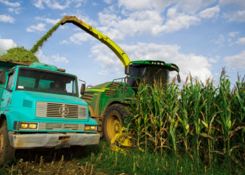 CMN institui mecanismo de controle orçamentário do Proagro