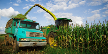 CMN institui mecanismo de controle orçamentário do Proagro