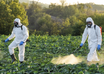 Plano do governo prevê retirar do mercado agrotóxicos ‘ultraperigosos’