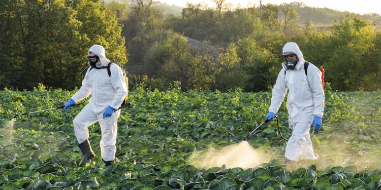Plano do governo prevê retirar do mercado agrotóxicos ‘ultraperigosos’ 1 Plano do governo prevê retirar do mercado agrotóxicos ‘ultraperigosos’