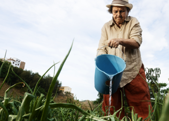Cooperativismo se destaca como pilar de estabilidade e crescimento sustentável para o agro em 2026 8 Cooperativismo se destaca como pilar de estabilidade e crescimento sustentável para o agro em 2026