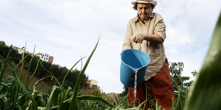 Cooperativismo se destaca como pilar de estabilidade e crescimento sustentável para o agro em 2026 1 Cooperativismo se destaca como pilar de estabilidade e crescimento sustentável para o agro em 2026