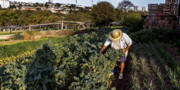 Agro paulista exporta US$ 4,14 bilhões para a União Europeia em 2025