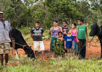 PL institui programa de crédito e seguro agrícola para agricultura familiar