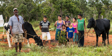 PL institui programa de crédito e seguro agrícola para agricultura familiar