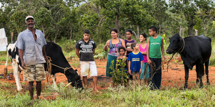 PL institui programa de crédito e seguro agrícola para agricultura familiar