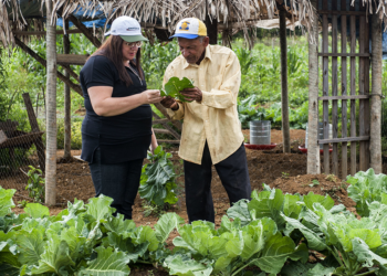 Concurso nacional reconhece inventos voltados à agricultura familiar e comunidades tradicionais