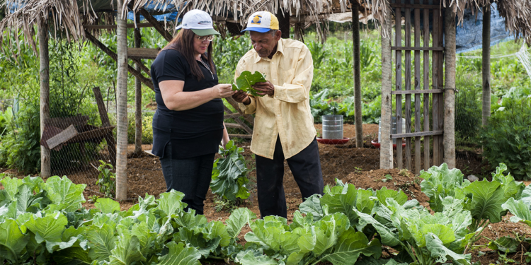Concurso nacional reconhece inventos voltados à agricultura familiar e comunidades tradicionais 1 Concurso nacional reconhece inventos voltados à agricultura familiar e comunidades tradicionais