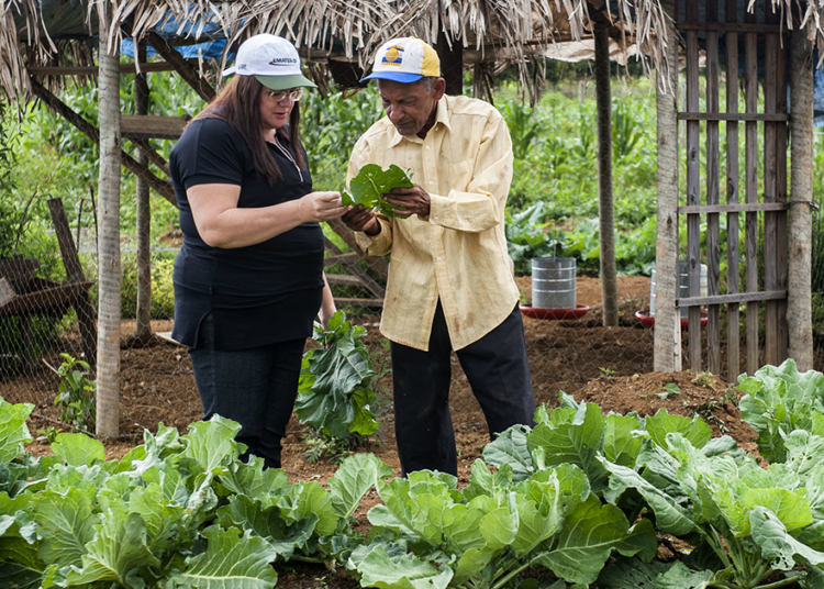 Concurso nacional reconhece inventos voltados à agricultura familiar e comunidades tradicionais