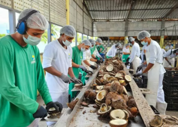 Alagoas prioriza cooperativas de comunidades tradicionais no fornecimento de alimentos para escolas