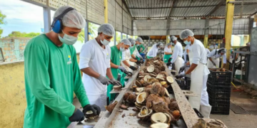 Alagoas prioriza cooperativas de comunidades tradicionais no fornecimento de alimentos para escolas