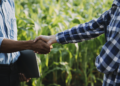 Cédula de Produto Rural financia safra com R$ 122 bi e representa 45% do crédito rural
