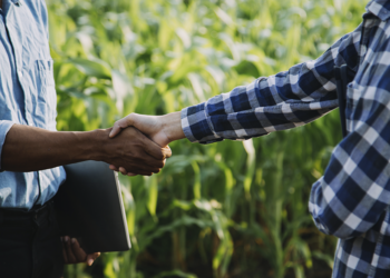 Cédula de Produto Rural financia safra com R$ 122 bi e representa 45% do crédito rural 2 Cédula de Produto Rural financia safra com R$ 122 bi e representa 45% do crédito rural