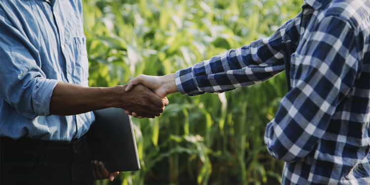 Cédula de Produto Rural financia safra com R$ 122 bi e representa 45% do crédito rural