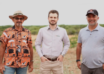 Cooperativa Cresol lidera operações do BNDES para pessoas físicas em 2025 3 Cooperativa Cresol lidera operações do BNDES para pessoas físicas em 2025