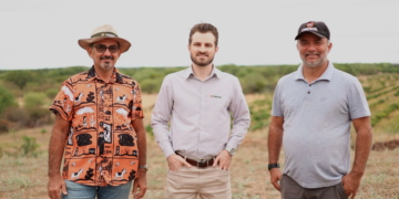 Cooperativa Cresol lidera operações do BNDES para pessoas físicas em 2025