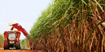 Como a Inteligência Artificial promete transformar moagem da cana e ampliar receita nas usinas