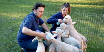 Cooperativa agroindustrial presta suporte técnico especializado a produtores