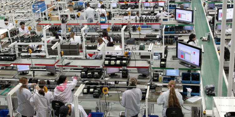 Desemprego cai para 5,6% em 2025, menor nível da série histórica