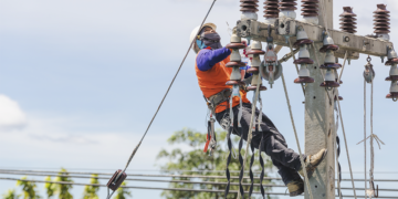 Relatório revela protagonismo cooperativo na expansão da energia comunitária no Reino Unido
