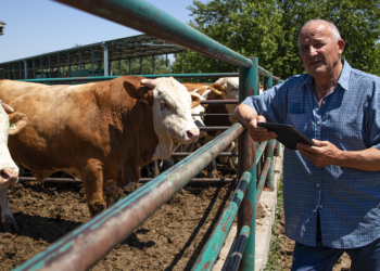Acordo Mercosul–UE amplia desafios e impõe novas exigências ao agro brasileiro